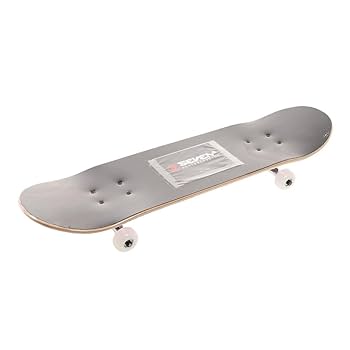 スケートボードさん専用 Z-FLEX スケートボード 29インチ SHADOW LURKER コンプリート